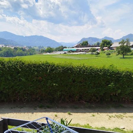 Apartma Julia Spodnje Gorje Esterno foto