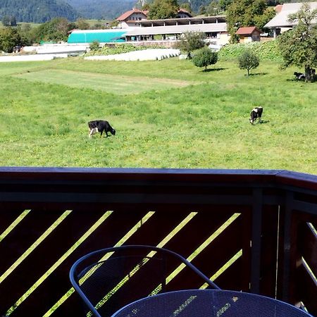 Apartma Julia Spodnje Gorje Esterno foto